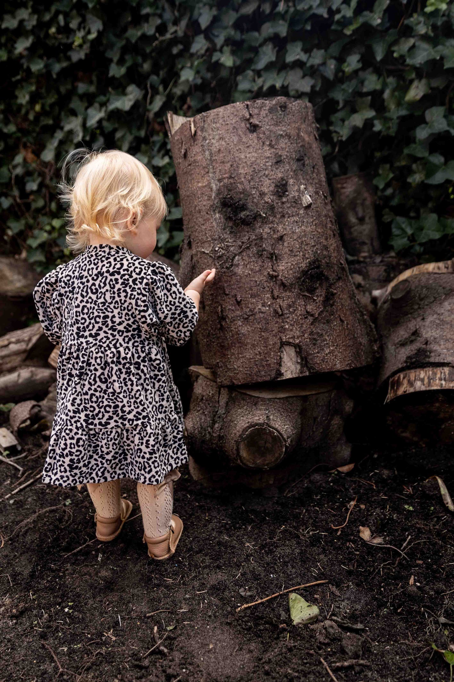 Velvet dress - animal print