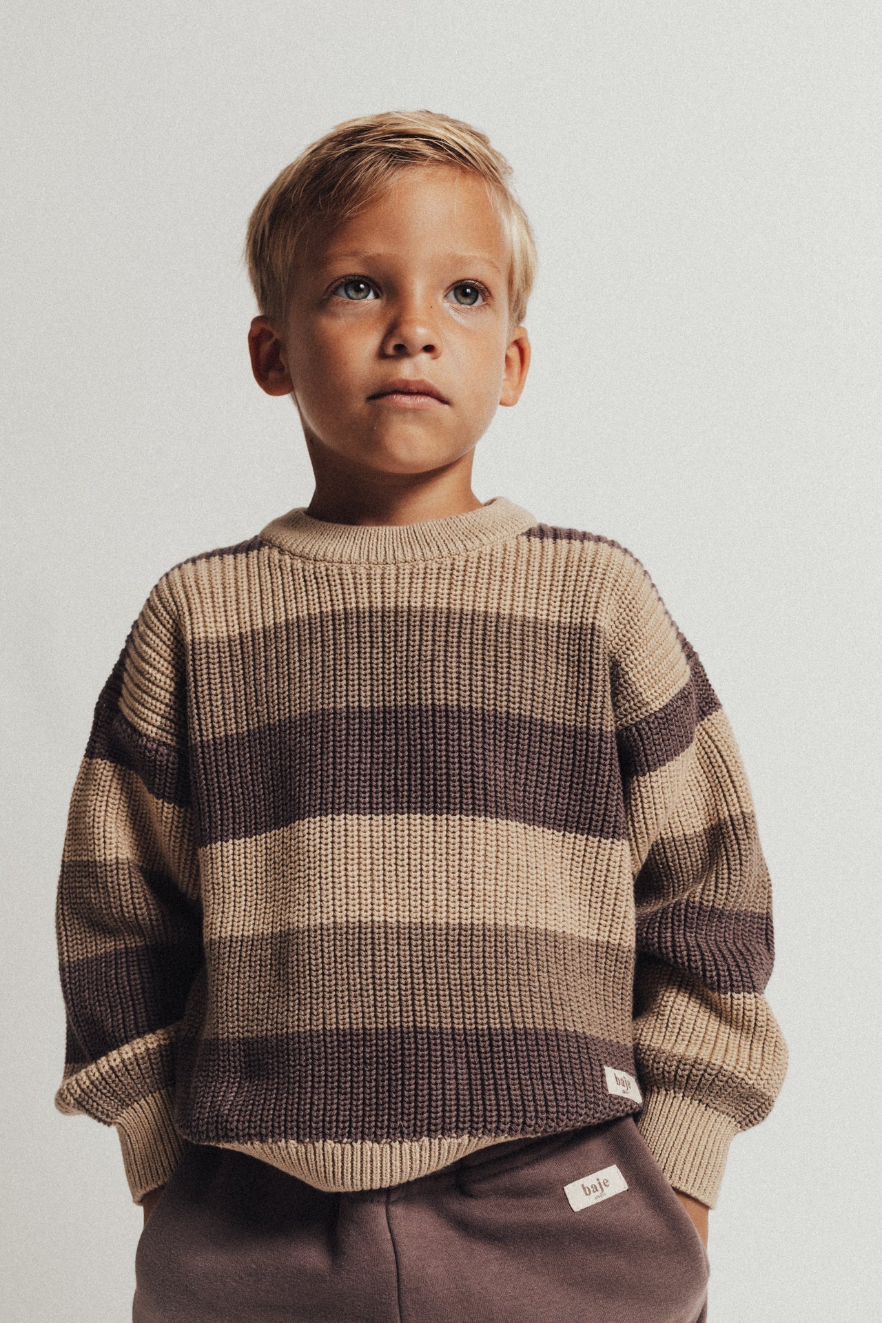 Stripe pullover Surrey - taupe/purple