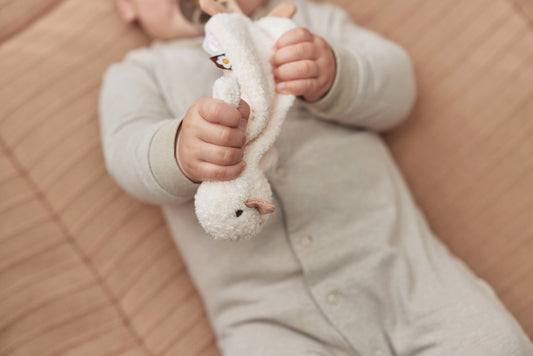 Speendoekje Spring Garden Duck