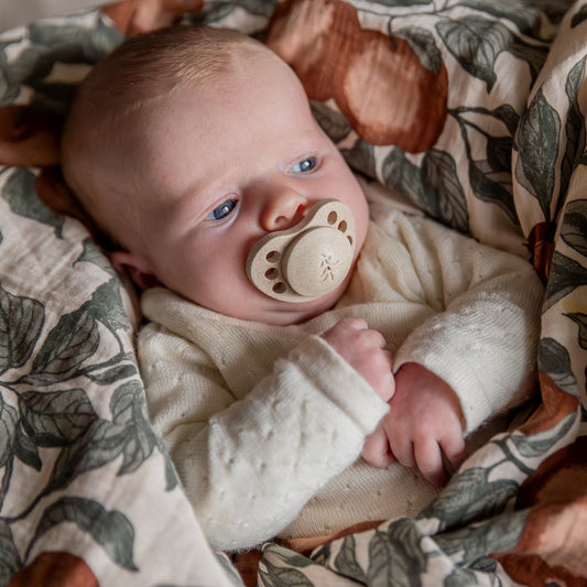 Skogen Baby - fopspeen björk anatomisch (platte speen) - 2 stuks