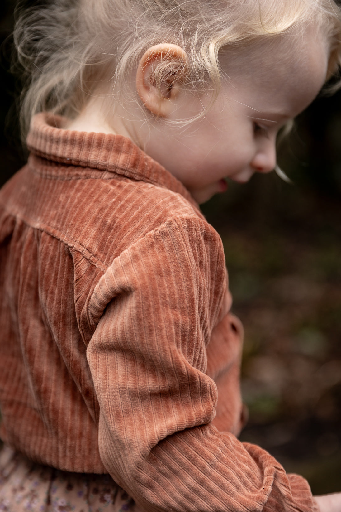 Corduroy blouse Cleo - brown