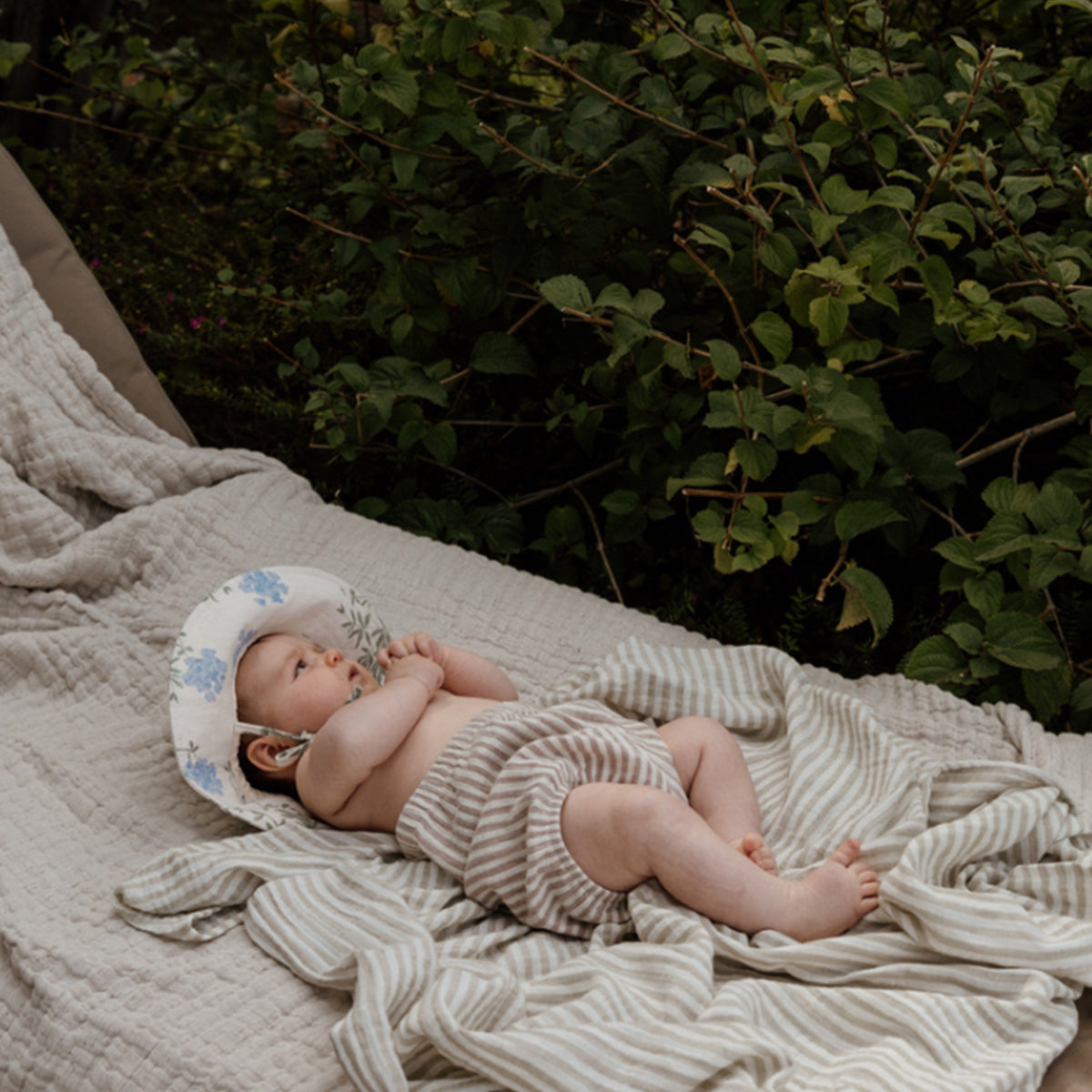 Stripe Anjou muslin swaddles S - 2pcs