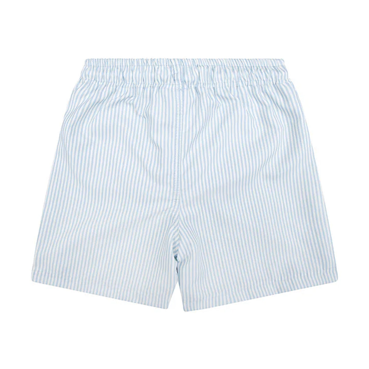 Swim Essentials - swim short - light blue stripe