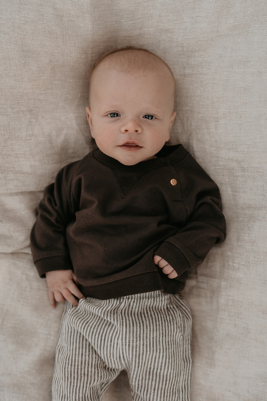 Broek gestreept - offwhite/bruin