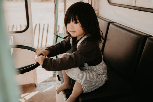 Riffle Amsterdam - rok met bretels ~ gestreept