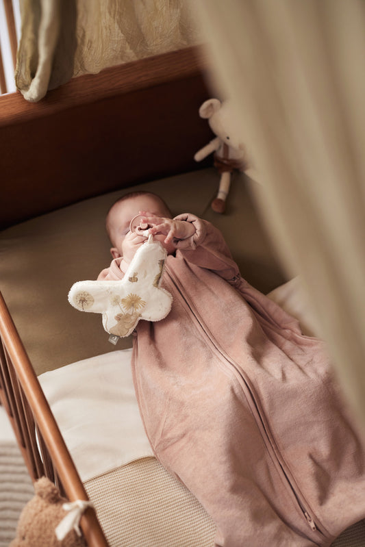 Speendoekje Dreamy Mouse