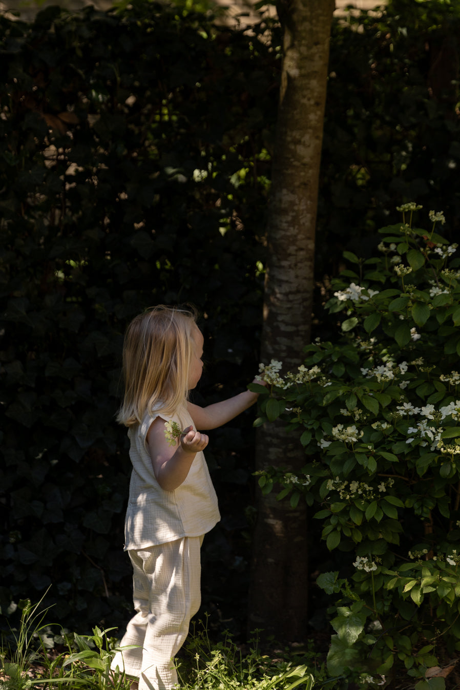 Pequeno Tocon - mousseline pants - natural