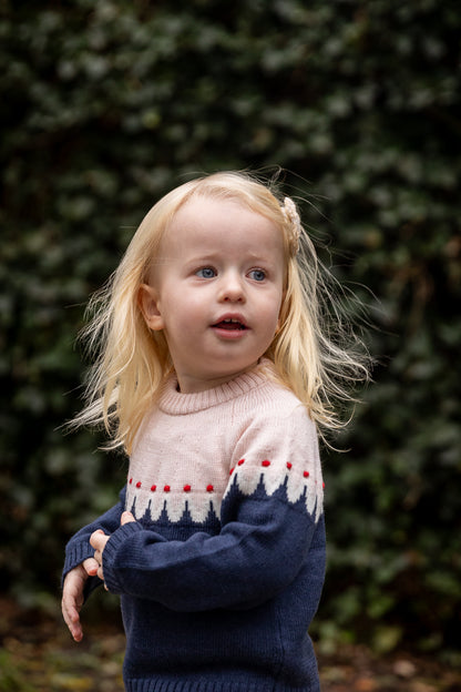 Cupcake classic jumper - navy/pink combi