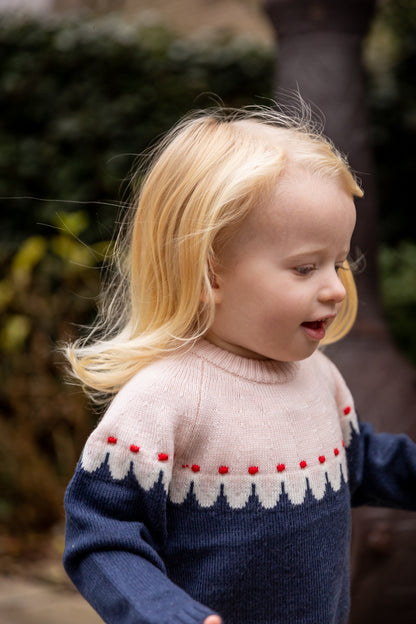 Cupcake classic jumper - navy/pink combi