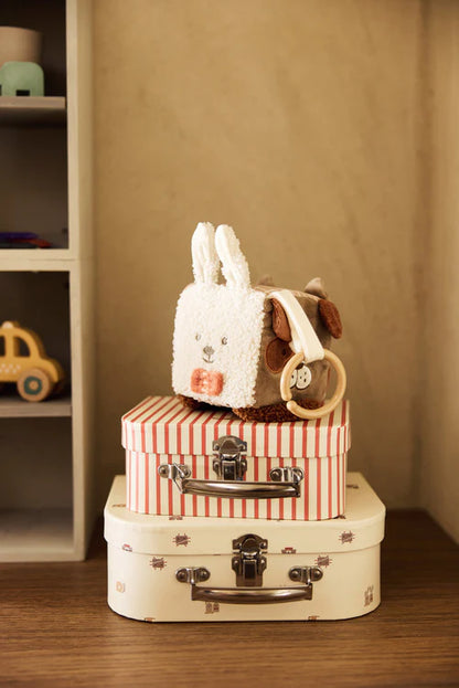 Jollein - Activiteitenkubus Animal Friends