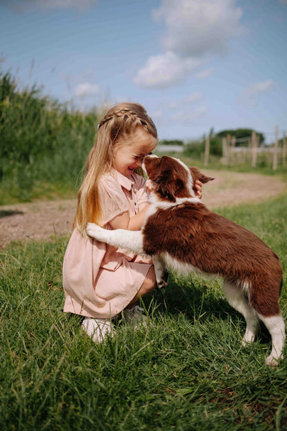 Riffle Amsterdam - dress Audrey - soft pink