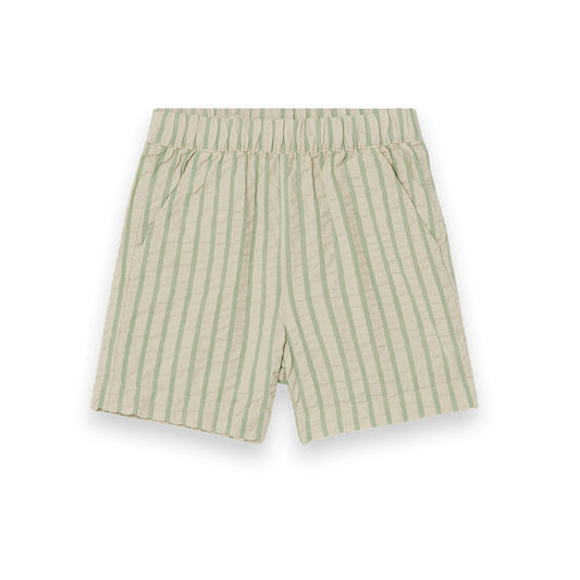 Emerald stripe shorts