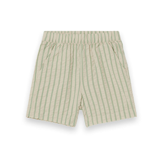 Emerald stripe seersucker shorts