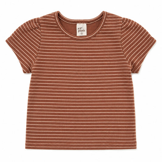 Korean brands - toto tee - camel brown stripe
