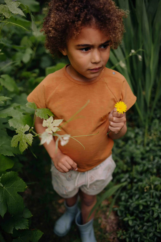 Riffle Amsterdam - T-shirt Jules - camel brown