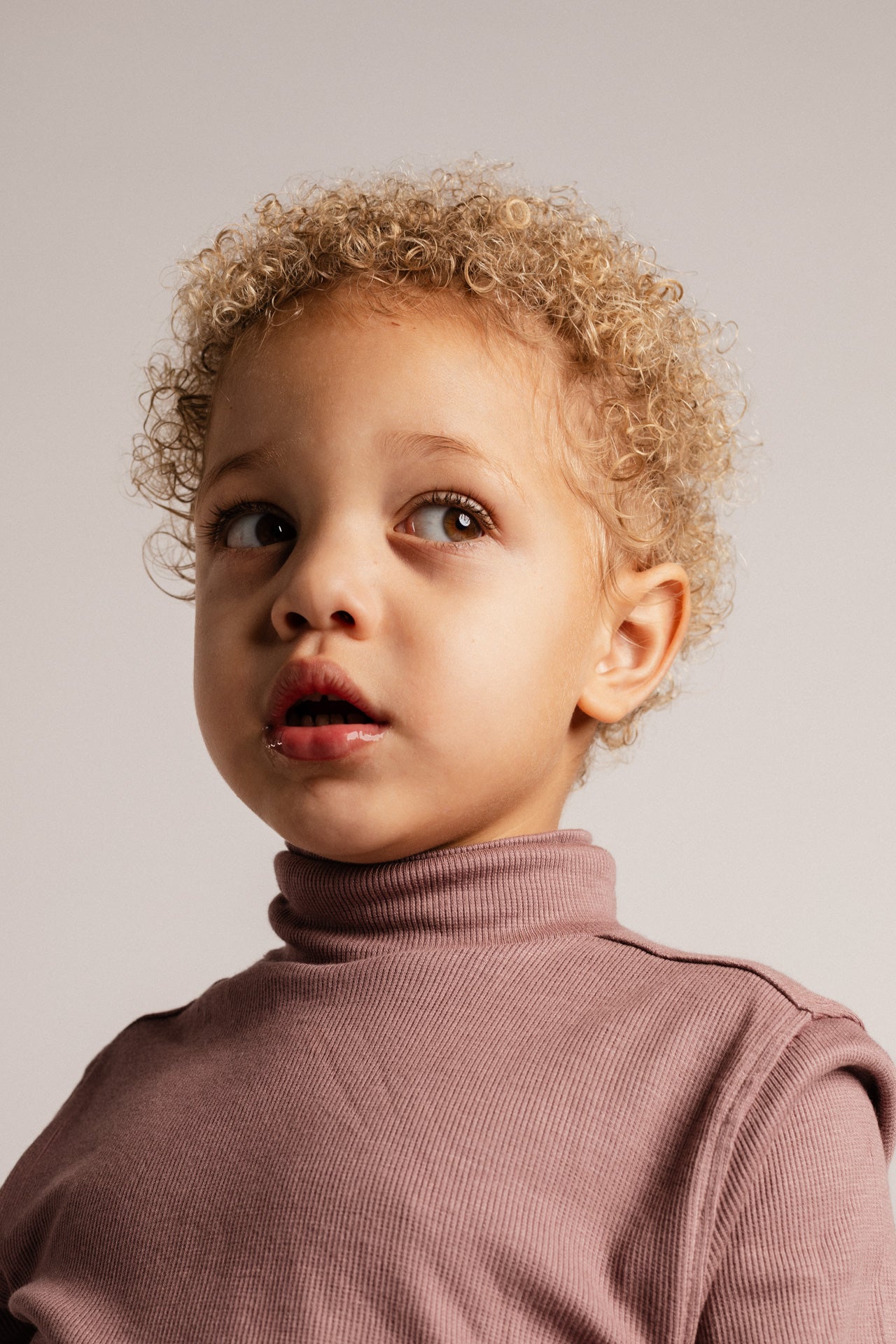 Baje Studio - turtle neck Lutern - purple plum