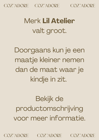 Lil'Atelier - knit body dress baby - pistachio shell