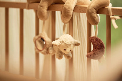 Jollein - activiteitenspiraal Woolly